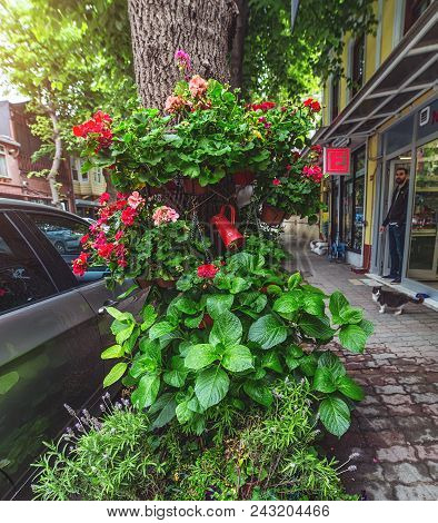 Istanbul, Turkey: Beautiful Decoration Of Street Cafe In Kuzguncuk District With Flowers And Plants 