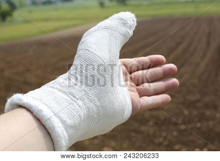 Hand Plaster Especially The Thumb And An Agricultural Background