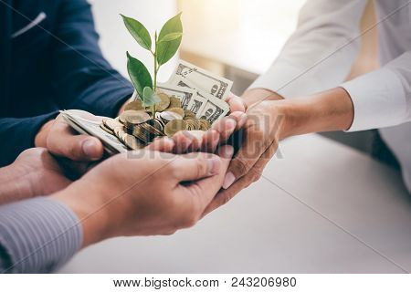 Hands Of Business Team Holding Plant Sprouting Growing From Golden Coins And Banknotes, Business Inv