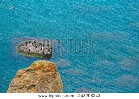 Seagulls Birds On A Rocks In The Sea With Azure Water. Colorful Background, Copy Space.