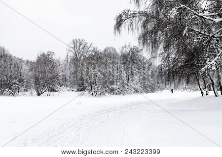 View Of Snow-covered Urban Timiryazevskiy Park In Moscow City In Winter