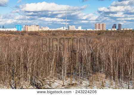 Above View Of Bare Birch Trees And Last Melting Snow In Timiryazevskiy Park And Skyline Of Moscow Ci
