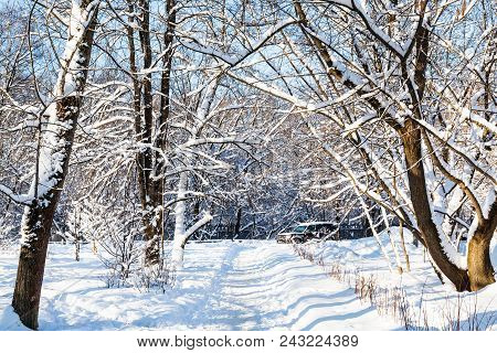 Snow-covered Path To Urban Timiryazevskiy Park In Moscow City In Sunny Winter Day