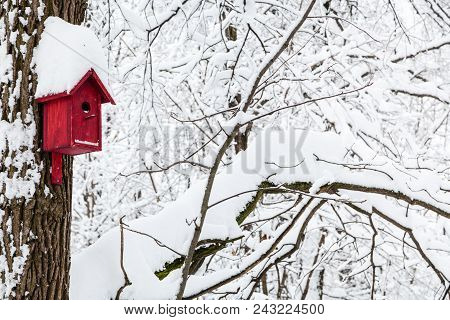 Red Wooden Birdhouse In Winter Forest Of Timiryazevskiy Park In Moscow City