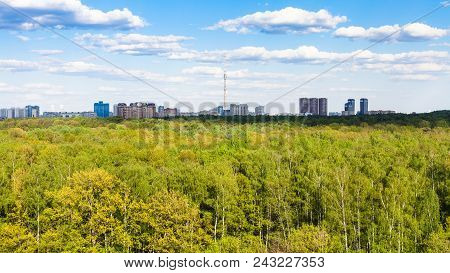 Panoramic View Of Green Forest Of Timiryazevsky Park In Moscow City In Sunny Summer Day
