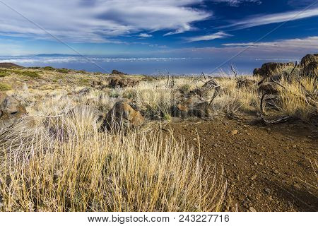 Yellow Grass In Semidesert Near Neide Volcano On Tenerife Island With Stones And Blue Sky