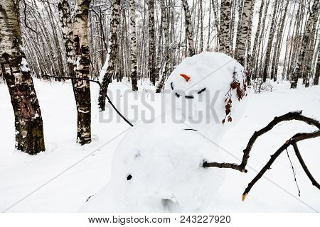 Smiling Snowman In Birch Grove Of Timiryazevskiy Park In Moscow City In Winter