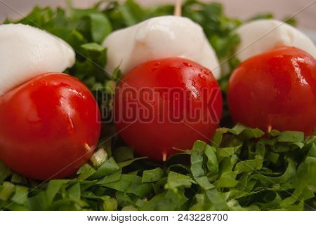 Food Composition Of  Mozzarelle And Fresh Tomatoes On Green Cut Salad