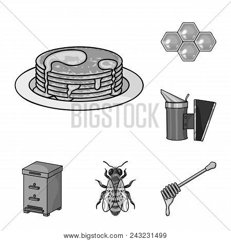 Apiary And Beekeeping Monochrome Icons In Set Collection For Design.equipment And Production Of Hone