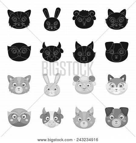Owl, Cow, Wolf, Dog. Animal Muzzle Set Collection Icons In Black, Monochrome Style Vector Symbol Sto