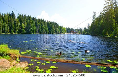 Moraine lake Grosser Arbersee in National park Bavarian forest. Germany.