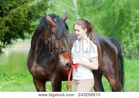 Young Teenage Girl Walking Together With Her Chestnut Horse In Green Forest. Vibrant Colored Outdoor