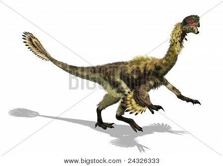 Citipati - fugl eller Dinosaur?