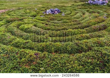 Stone Labyrinth On  Big Zayatsky Island, Russia