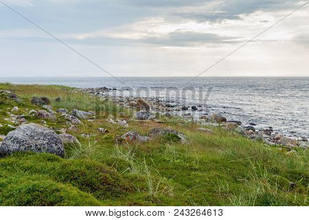 Coast Of The White Sea On Big Zayatsky Island, Russia