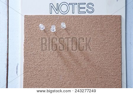 blank cork boad as backdrop