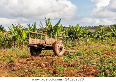 Vinales, Cuba. January 2018. A View Of The Landscape In Vinales, Cuba.