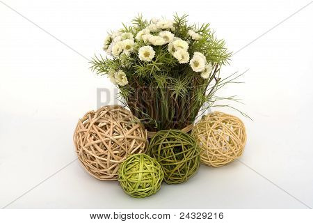 Still Life jaro