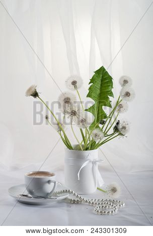 Stillife With Dandelions In A White Key