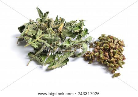 Dried Medicinal Herbs Raw Materials Isolated On White. Leaves With Seed Of Agrimonia Eupatoria, Agri