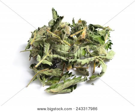 Dried Medicinal Herbs Raw Materials Isolated On White. Leaves Of Agrimonia Eupatoria, Agrimony, Chur