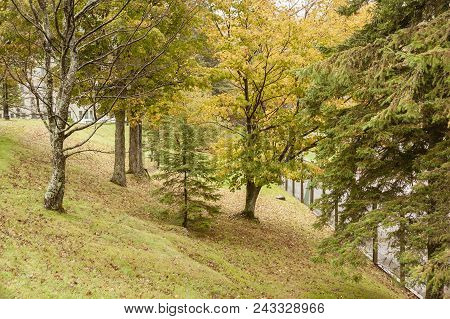 Dixville Notch, New Hampshire, Usa - October 1, 2009: Trees On Short Slope At The Balsams Resort. A 