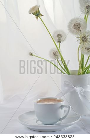 Stillife With Dandelions In A White Key