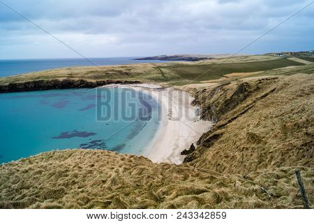 Seals In A Bay Of Shetland Islands Next To Lerwick In Scotland
