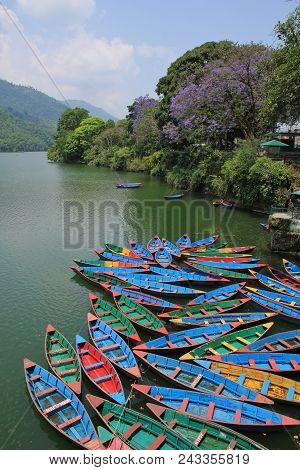Spring Scene At Fewa Lake, Pokhara. Colorful Timber Rowing Boats.