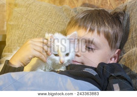 A Young And Cheerful Little Boy Is Playing With A White Cat On The Couch
