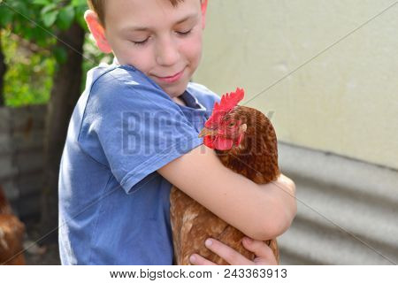 A Boy Is Holding A Brown Chicken And Smiling