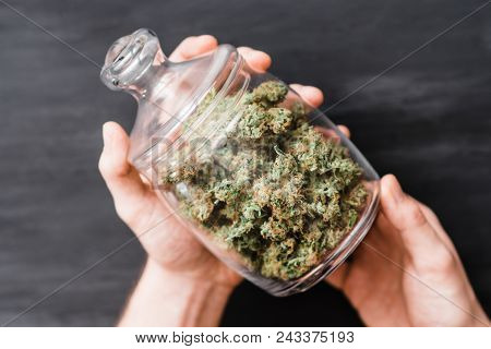 A Can With Buds Of Cannabis In The Hands Of A Man. The Concept Of Legal Marijuana Is Medical Weed. O