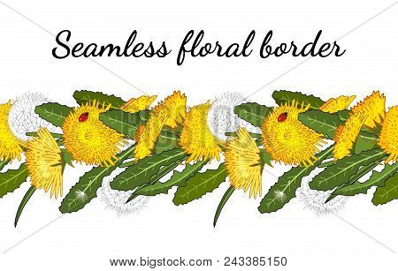 Seamless Border With Dandelions Isolated On White. Excellent Print For Greeting Cards, Clothes, Bed 