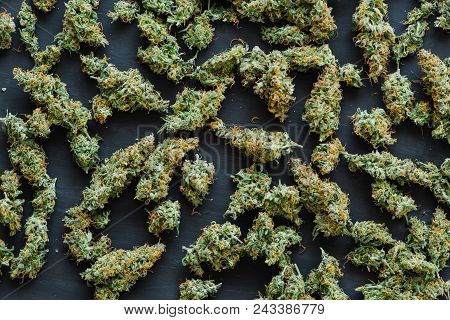 Grinder A Lot Ofx Marijuana, Fresh Buds Of Cannabis Many Weed. Copy Spase Copy-space