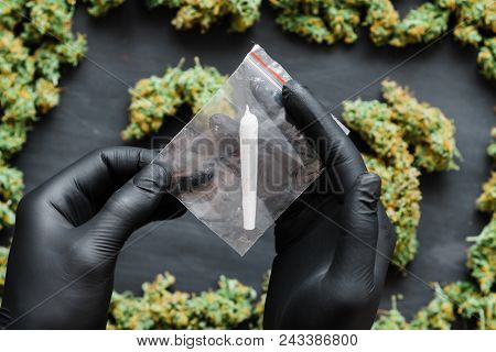Grinder A Lot Ofx Marijuana, Fresh Buds Of Cannabis Many Weed. Copy Spase Copy-space