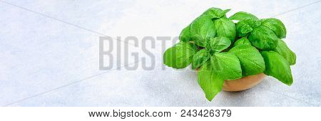 Green Fresh Homemade Basil, Spicy Herb In A Wooden Bowl
