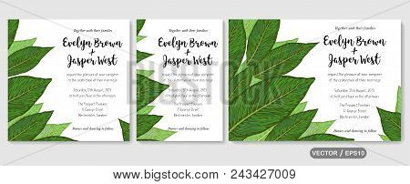 Wedding Invite Invitation Menu Card Vector Floral Greenery Design: Diffenbachia Green Leaves Foliage