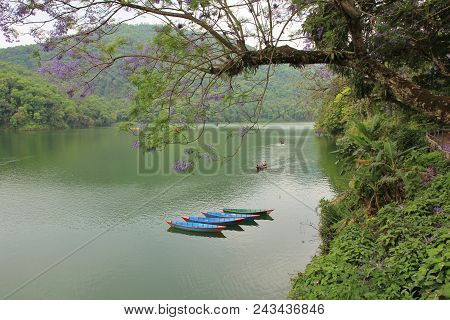 Spring Scene In Pokhara. Rowing Boats On The Shore Of Lake Fewa, Nepal.