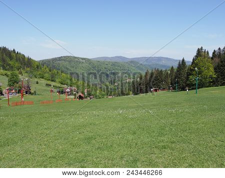 Picturesque Landscapes Of Grassy Field And Forest At Beskid Mountains Range In European Salmopol Pas
