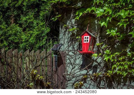 Red Bird Feeder Hanging On A Stone Wall In A Garden With Green Trees