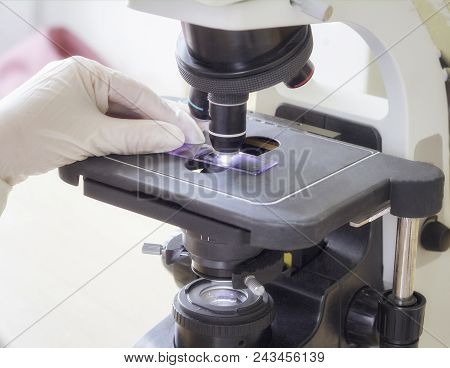 Blood Examination Through A Microscope, Close-up, Medical