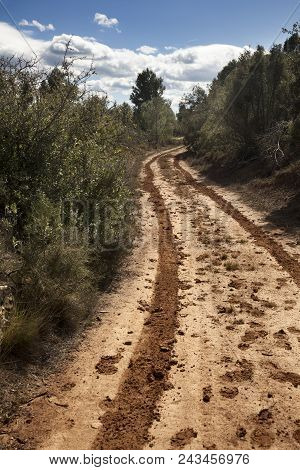 Way To Arenys De Lledó. Teruel Province