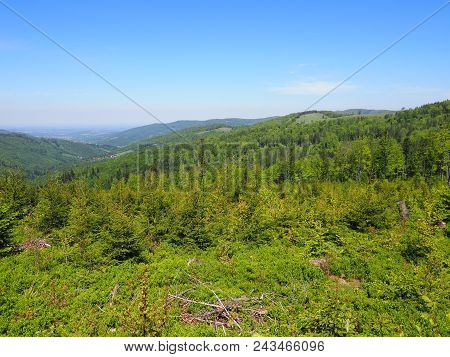 Wonderful Salmopol Pass Near Kotarz Mount In Silesian Beskids Mountains Range Landscapes Above Europ