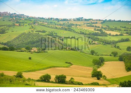 Rural Landscape At Summer Fields In Italian Province Of Ancona, Italy
