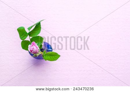 Pink Rose Bud With Green Leaves On A Blue Glass Vase On Pink Background. Hipster Trendy Minimalism P