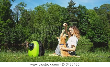 European Young Woman Is Playing With A Red Cat In The Nature, A Ginger Pet Is Catching The Grass Wit