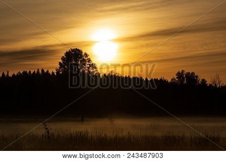 Golden Orange Sunrise Sunset With Forest And Mist Covering The Ground