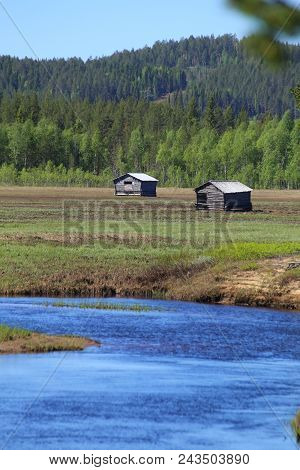 Svansele Dammaenger, A Former Water-meadow In Sweden. It Is Now A Nature Reserve