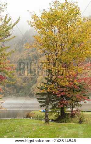 Lake Gloriette Shoreline In The Rain