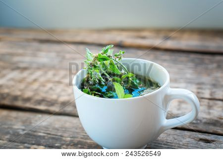 Herbal Green Mint Tea In White Cup On Wooden Background Healthy Bevarage